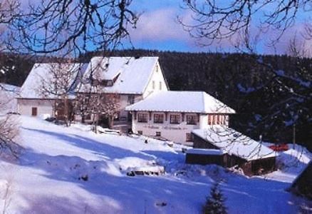Pension Loeffelschmiede Lenzkirch Exteriör bild