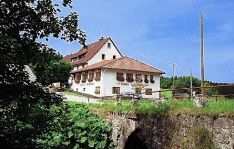 Pension Loeffelschmiede Lenzkirch Exteriör bild